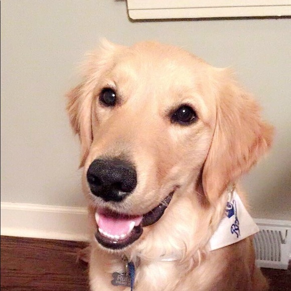 Meet your Posher, Daniel - Picture 1 of 1